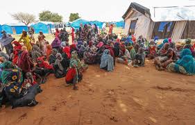 SUDAN: Refugees run out of food and start eating grass